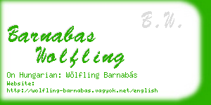 barnabas wolfling business card