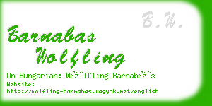 barnabas wolfling business card